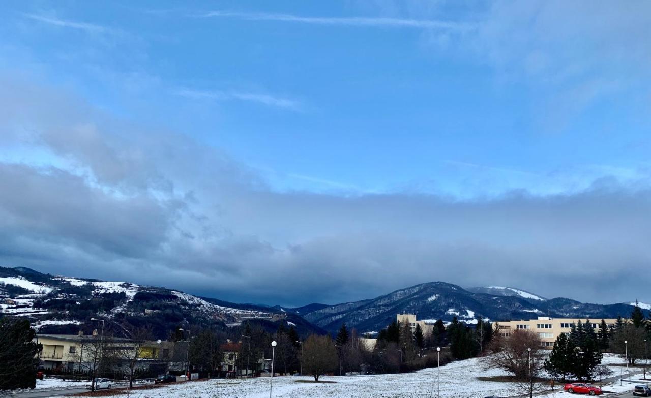 Bl - The Executive Suite, Boru - 24Hr Self Check-In, Free Private Parking, Balcony With Mountain View, 5 Minute Walk To City Center Banska Bystrica Bagian luar foto