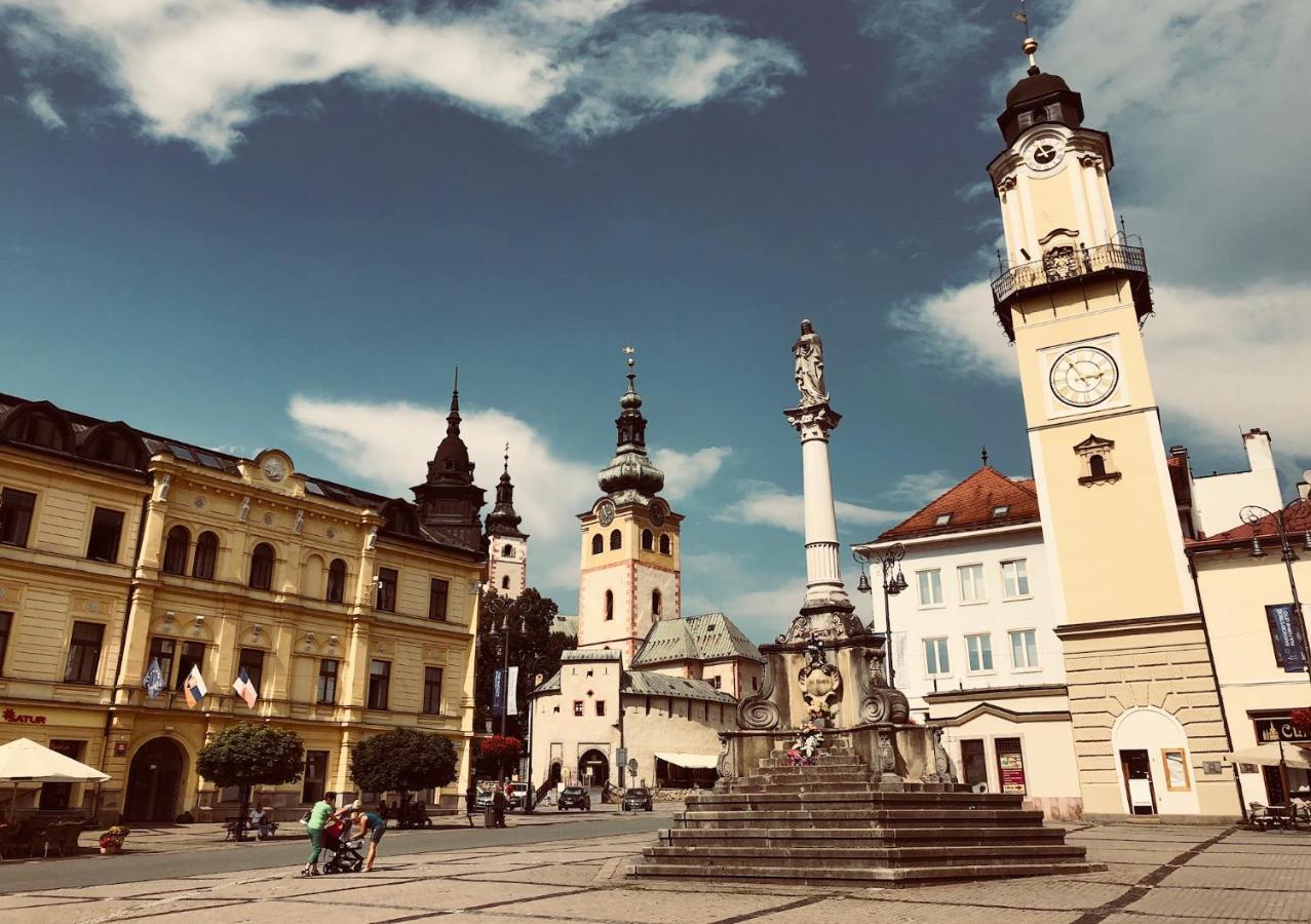 Bl - The Executive Suite, Boru - 24Hr Self Check-In, Free Private Parking, Balcony With Mountain View, 5 Minute Walk To City Center Banska Bystrica Bagian luar foto