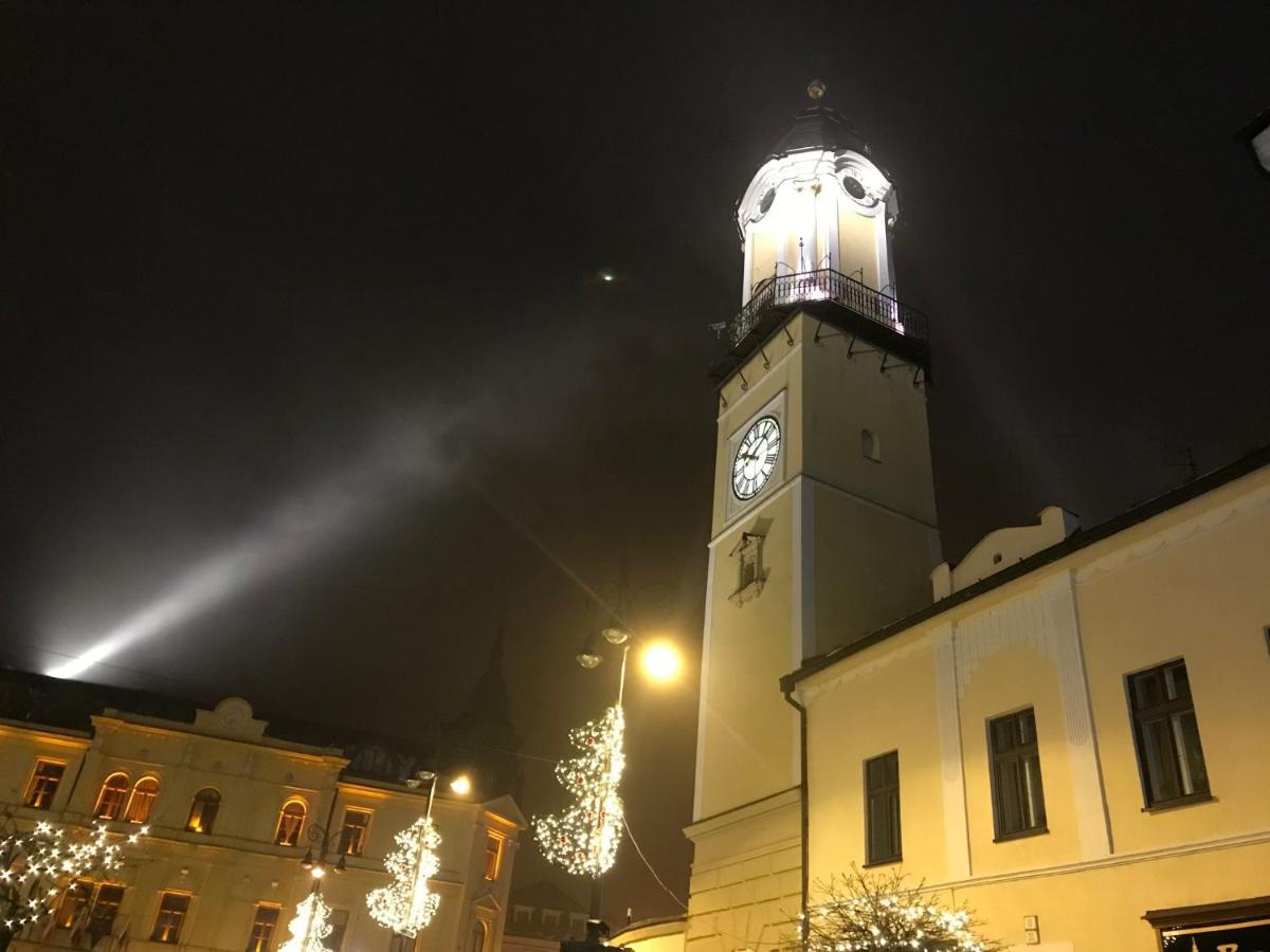 Bl - The Executive Suite, Boru - 24Hr Self Check-In, Free Private Parking, Balcony With Mountain View, 5 Minute Walk To City Center Banska Bystrica Bagian luar foto