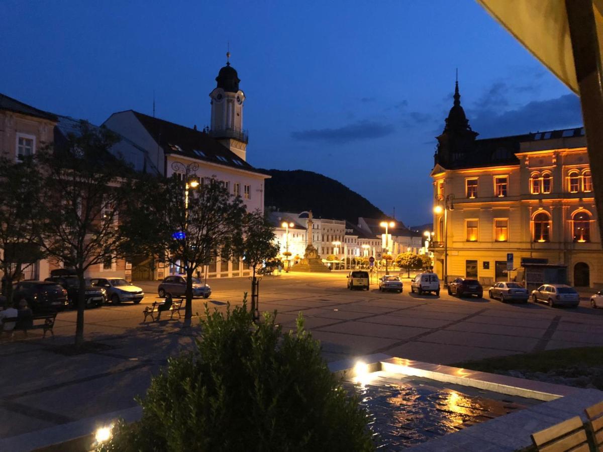 Bl - The Executive Suite, Boru - 24Hr Self Check-In, Free Private Parking, Balcony With Mountain View, 5 Minute Walk To City Center Banska Bystrica Bagian luar foto